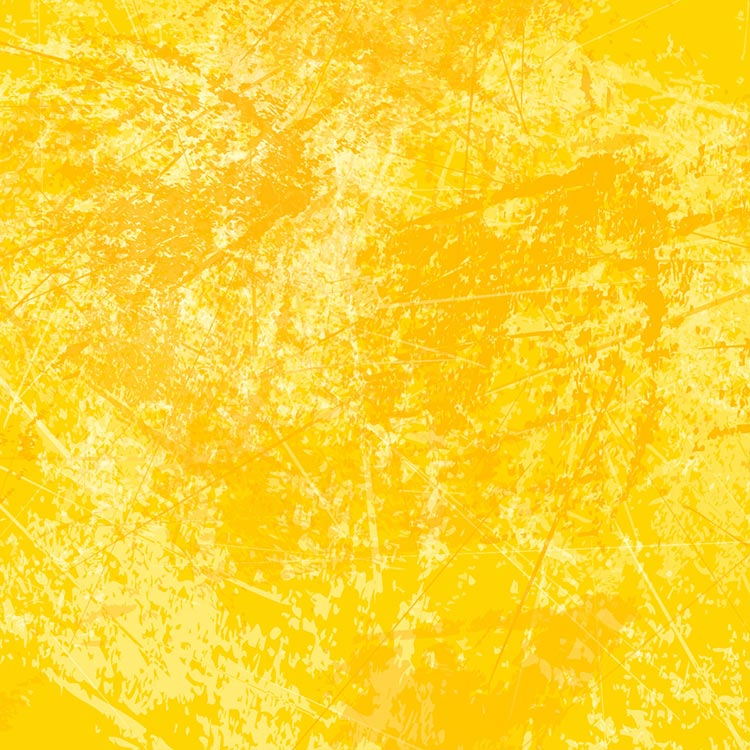 Yellow & Gold Fashion Accessories