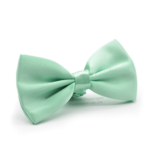Light Mint Green Bow Tie For Men Silky Polyester