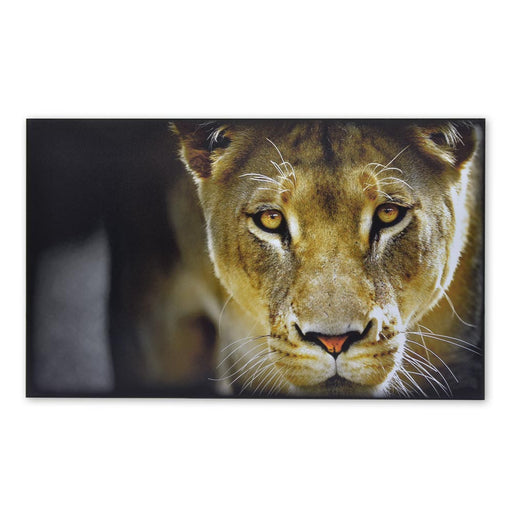 African Female Lion Wood Print Animal Signage Colour Landscape Large Image