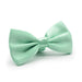 Light Mint Green Bow Tie For Men Silky Polyester