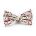 Floral Rose Bow Tie For Men White Green Pink Floral Cotton Front View