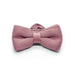 Knitted Blush Pink Bow Tie Polyester Front View