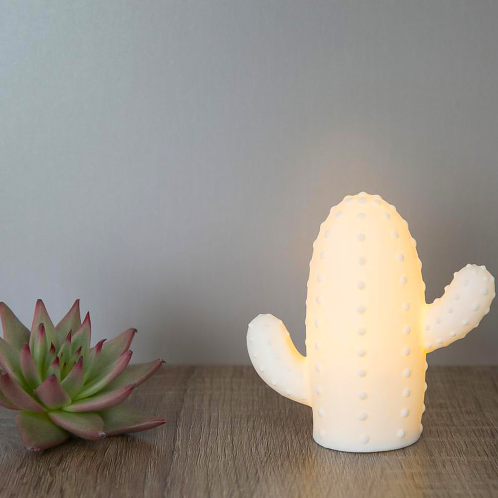 Cactus LED Light Small Porcelain Display