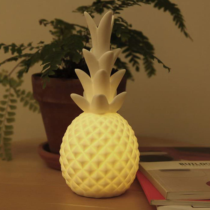 Pineapple LED Light Porcelain Display