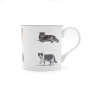 Cats Mug Fine China Ceramic Purrfect Friends Right Side