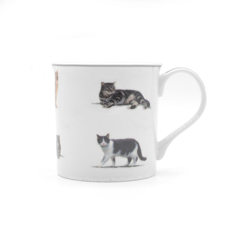 Cats Mug Fine China Ceramic Purrfect Friends Right Side