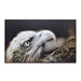 Large African Eagle Wood Sign Animal Print For Wall