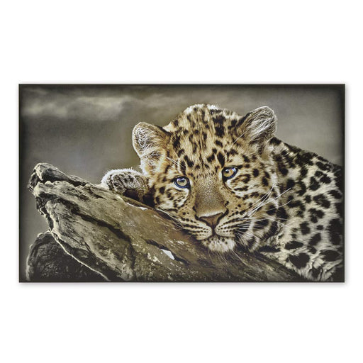 Young African Leopard Cub Wood Print Animal Signage Large Image