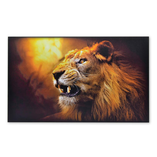 African Male Lion Wood Print Colour Animal Signage Landscape View